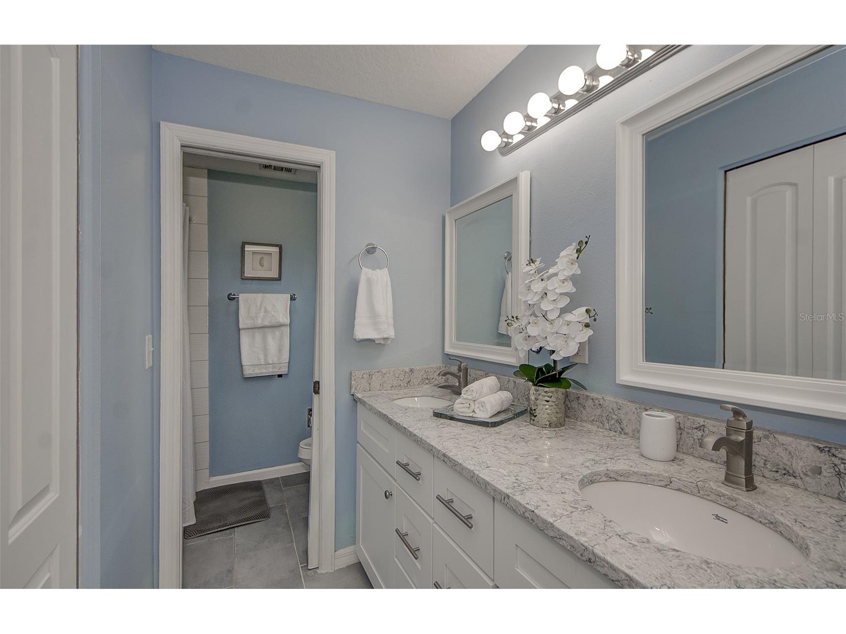 13222 Pine Creek Circle Riverview FL 33579 TB8525308 image24