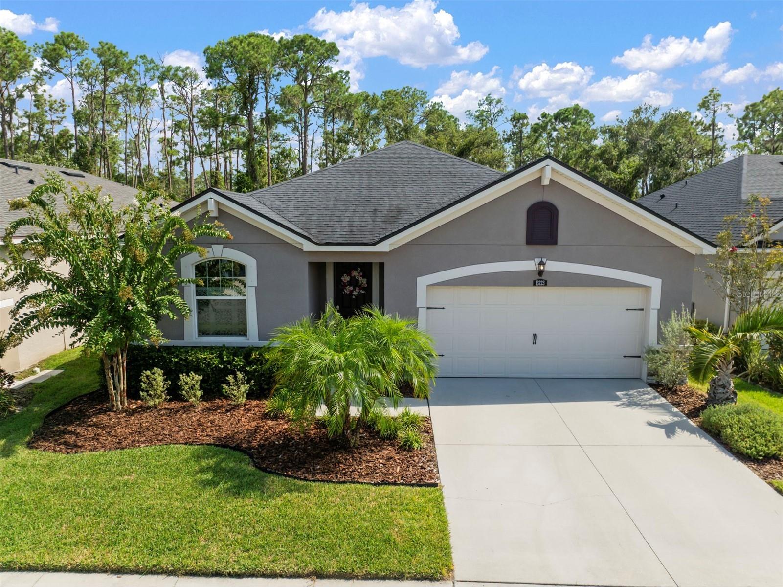 13223 Baby Belle Drive Riverview FL 33579 TB8420109 image1