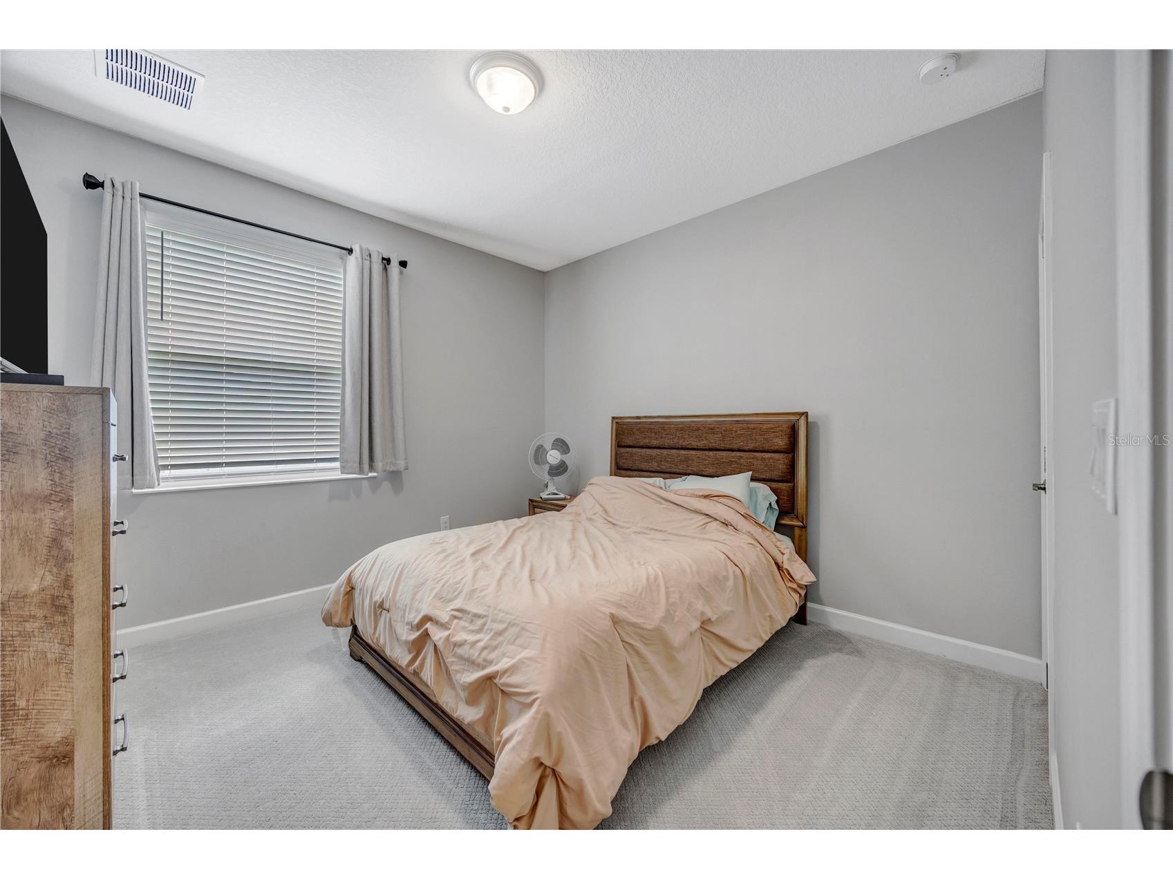 13223 Satin Lily Drive Riverview FL 33579 TB8483743 image35