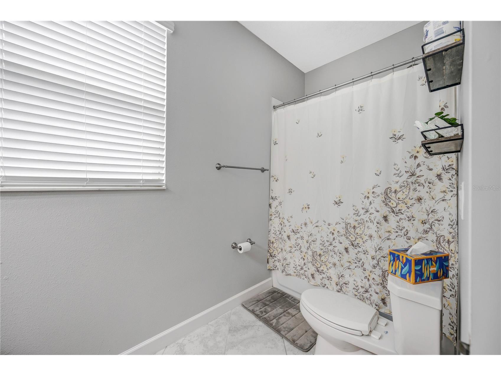 13223 Satin Lily Drive Riverview FL 33579 TB8483743 image36