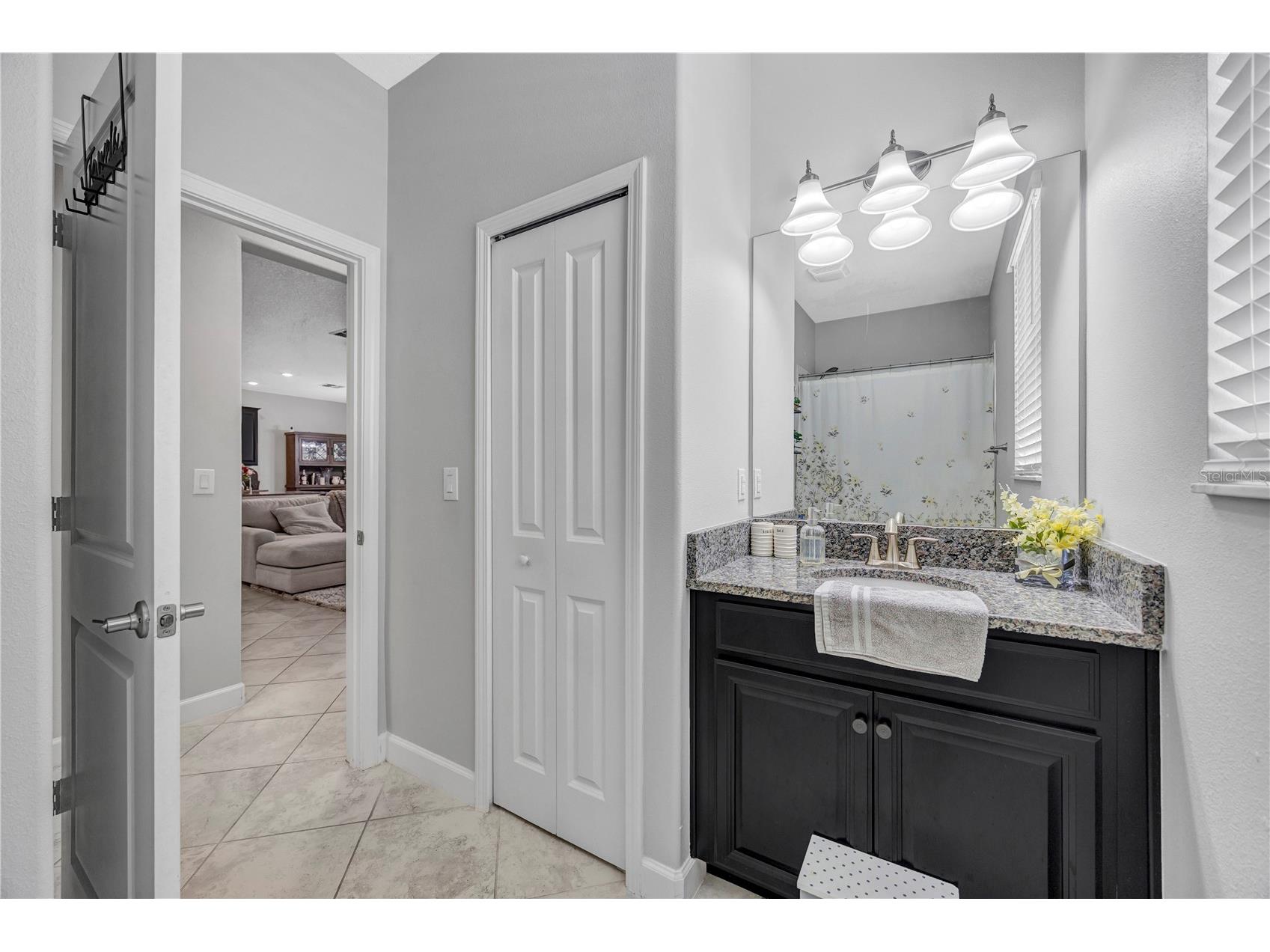 13223 Satin Lily Drive Riverview FL 33579 TB8483743 image38