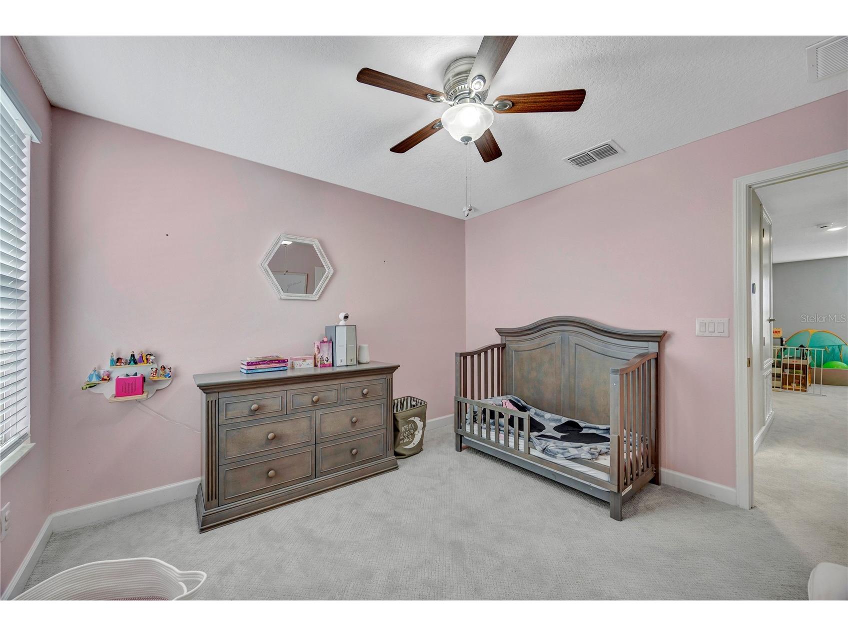 13223 Satin Lily Drive Riverview FL 33579 TB8483743 image42
