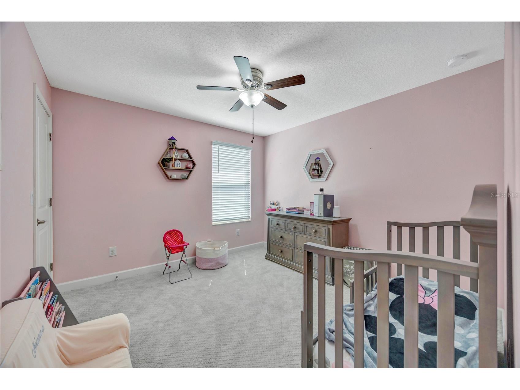 13223 Satin Lily Drive Riverview FL 33579 TB8483743 image43