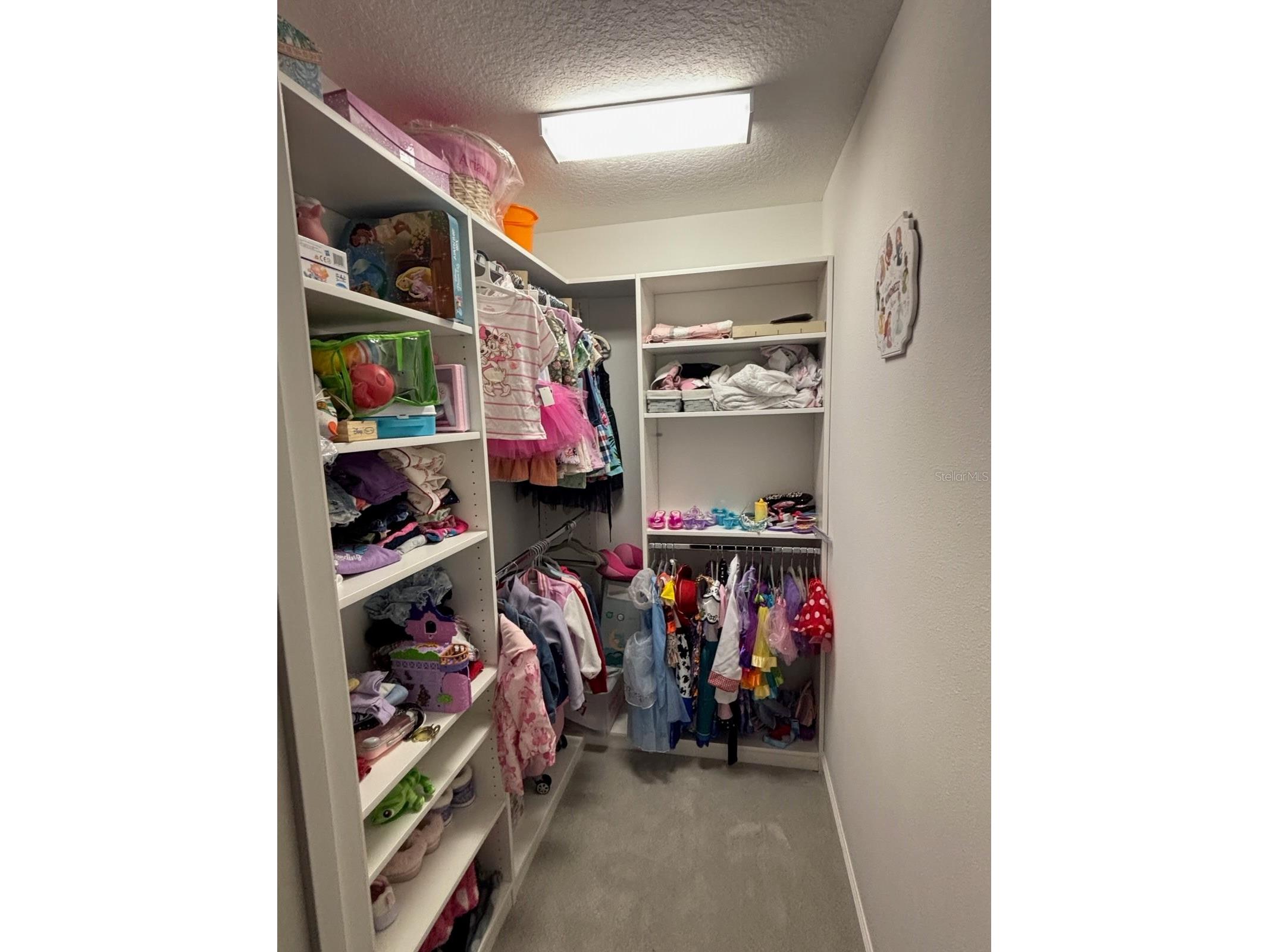 13223 Satin Lily Drive Riverview FL 33579 TB8483743 image44