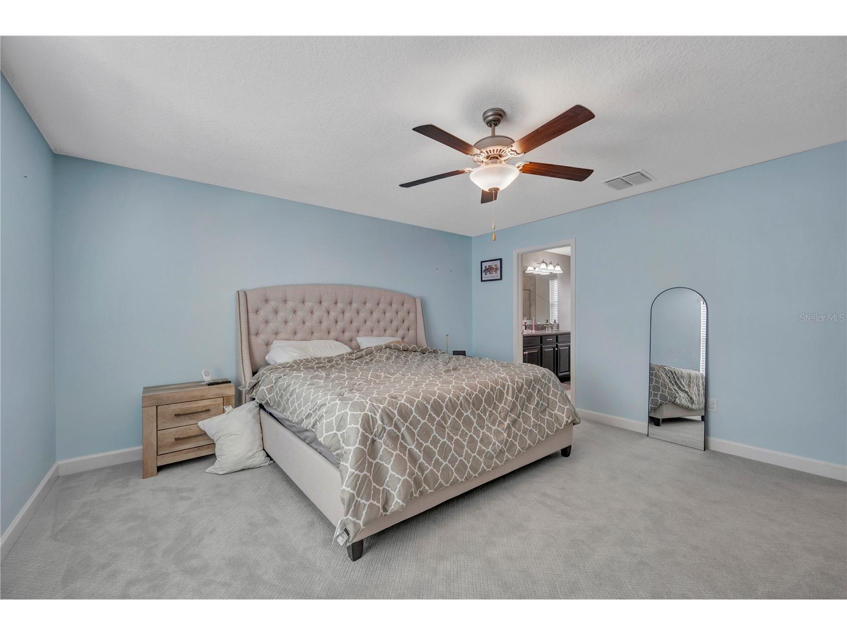 13223 Satin Lily Drive Riverview FL 33579 TB8483743 image46