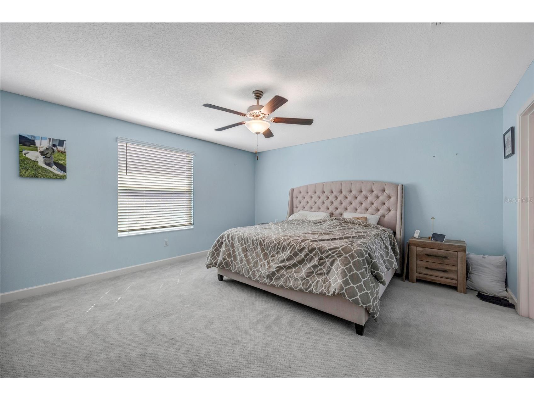 13223 Satin Lily Drive Riverview FL 33579 TB8483743 image47