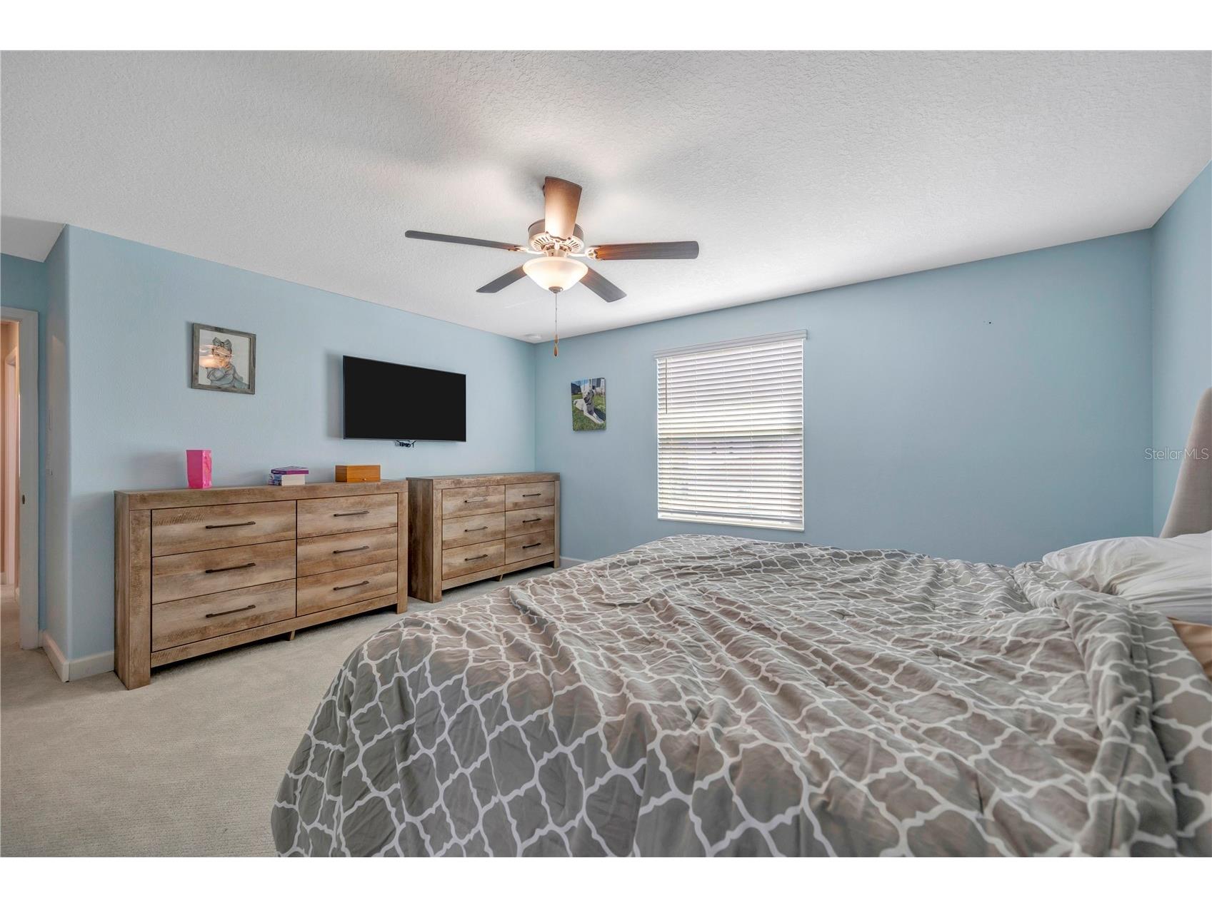 13223 Satin Lily Drive Riverview FL 33579 TB8483743 image48
