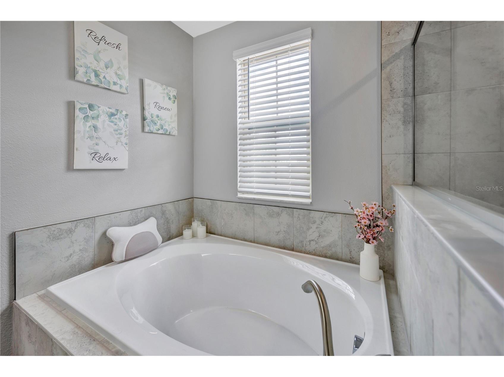 13223 Satin Lily Drive Riverview FL 33579 TB8483743 image49