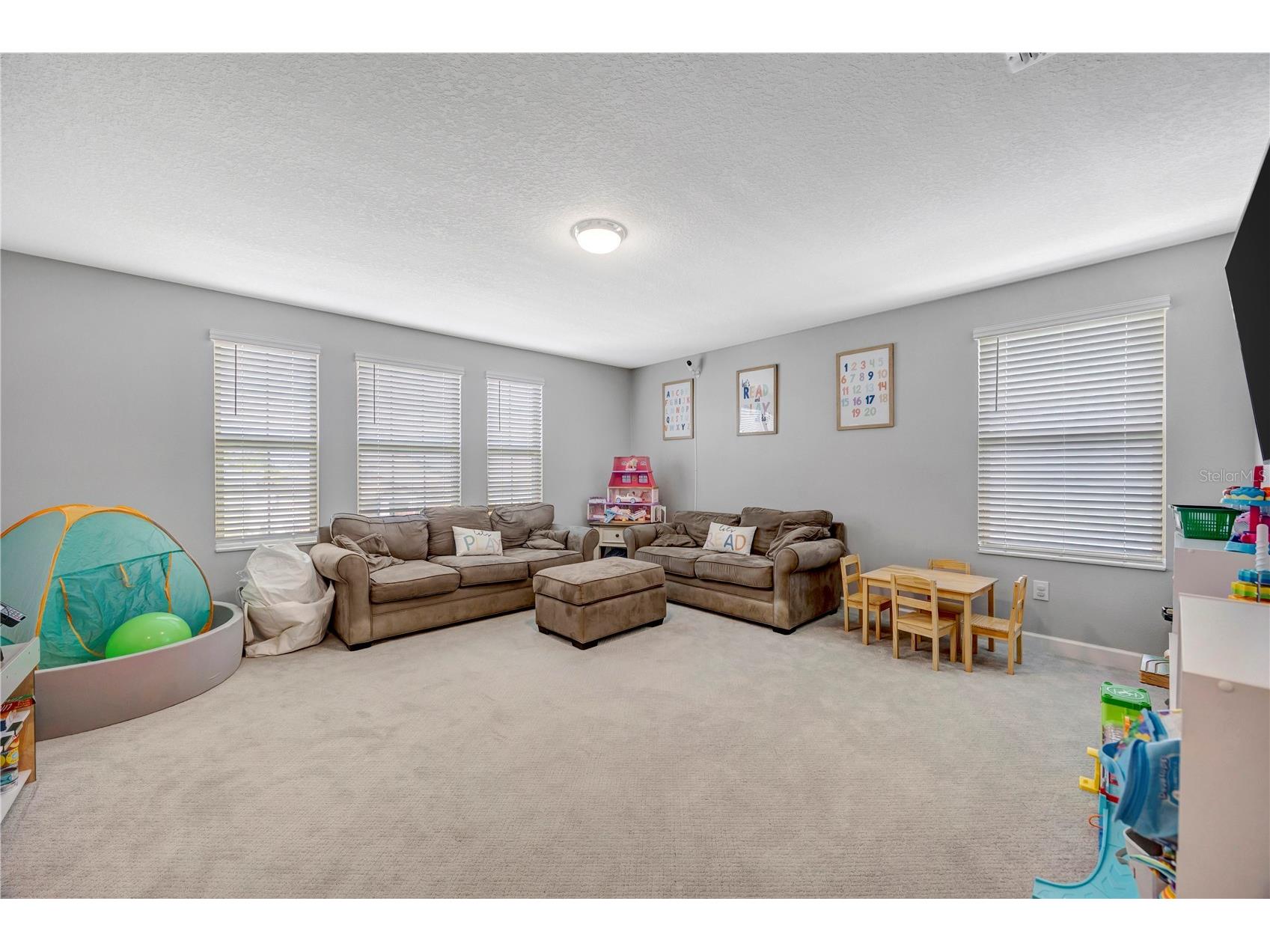 13223 Satin Lily Drive Riverview FL 33579 TB8483743 image5
