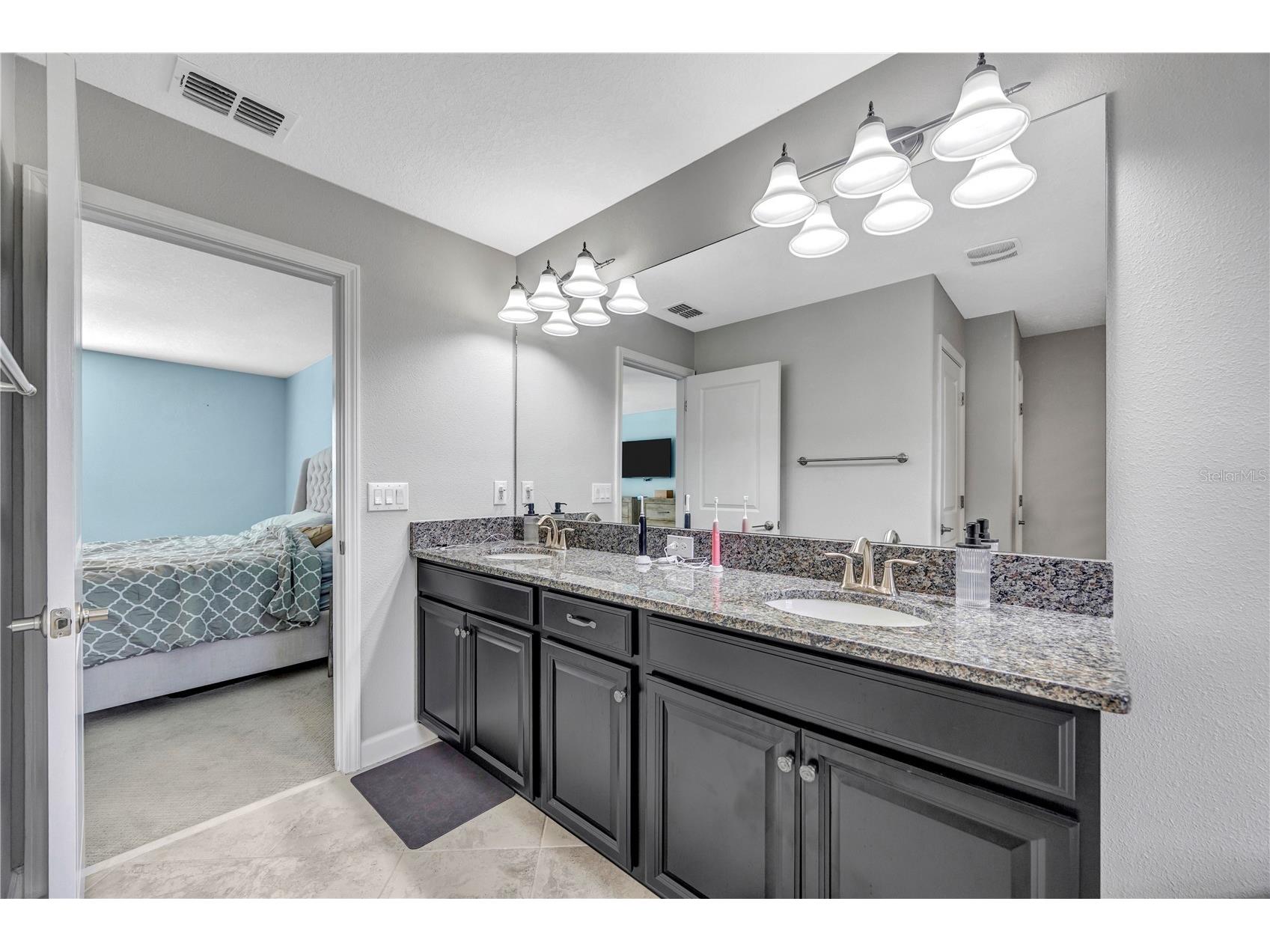 13223 Satin Lily Drive Riverview FL 33579 TB8483743 image50