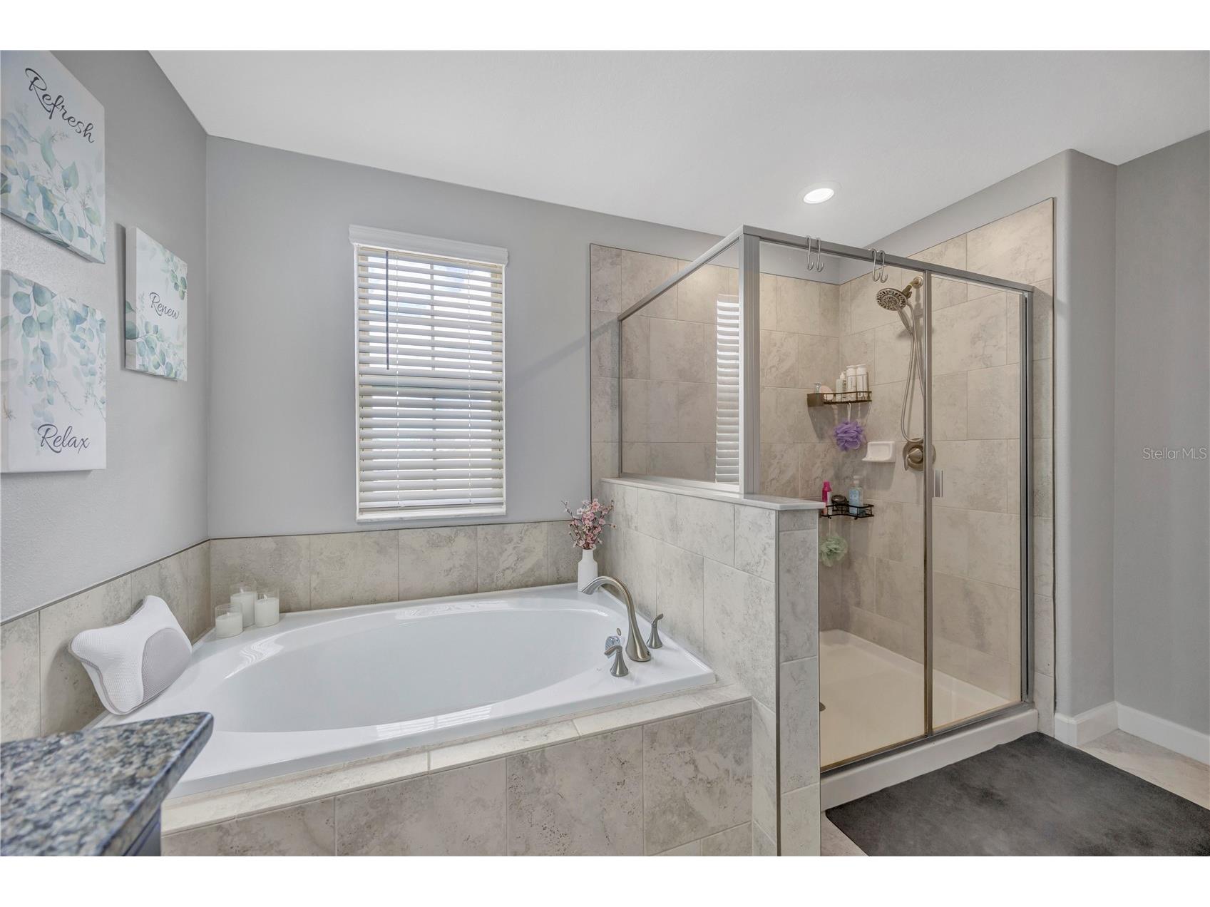13223 Satin Lily Drive Riverview FL 33579 TB8483743 image52