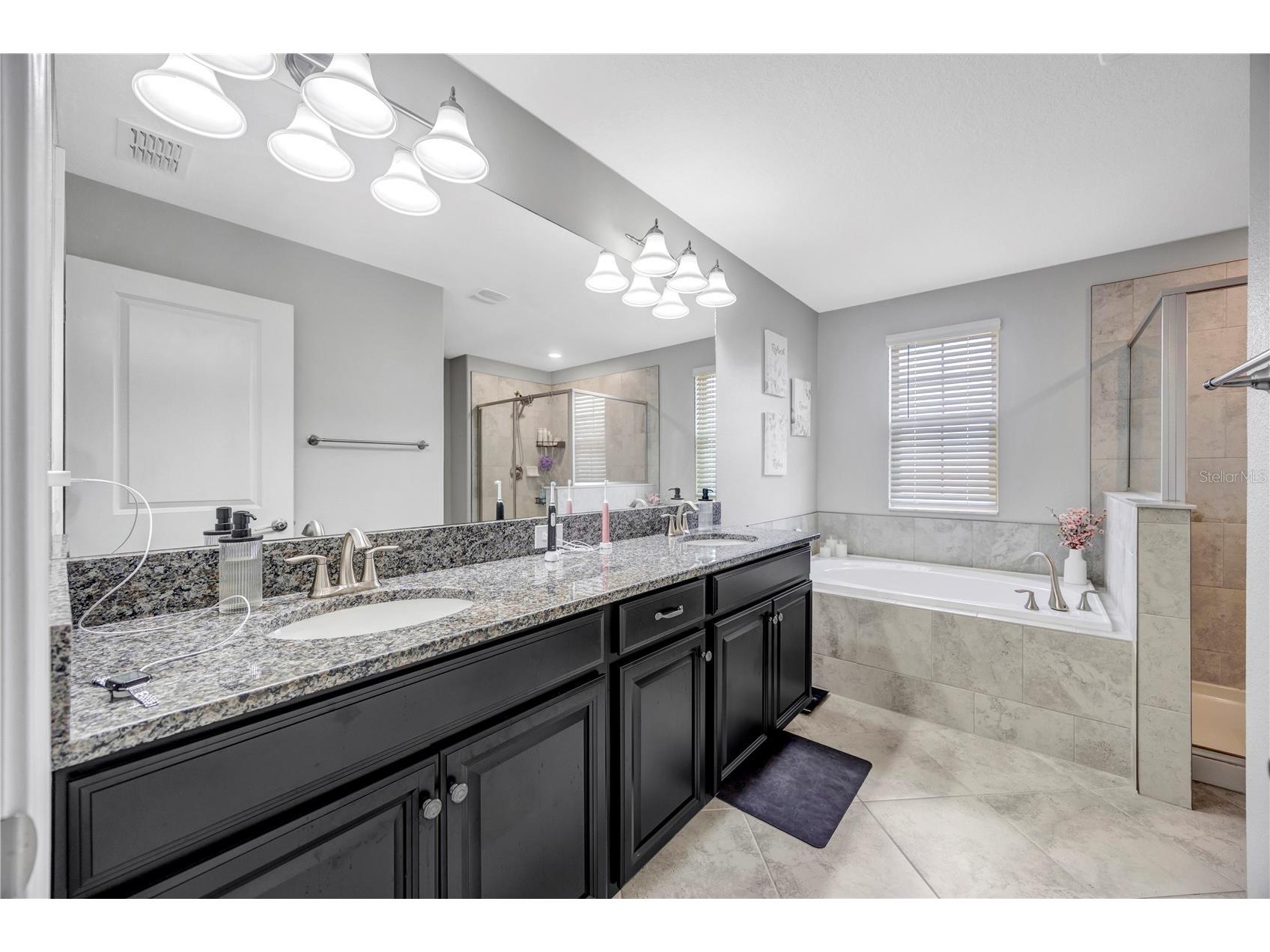 13223 Satin Lily Drive Riverview FL 33579 TB8483743 image53