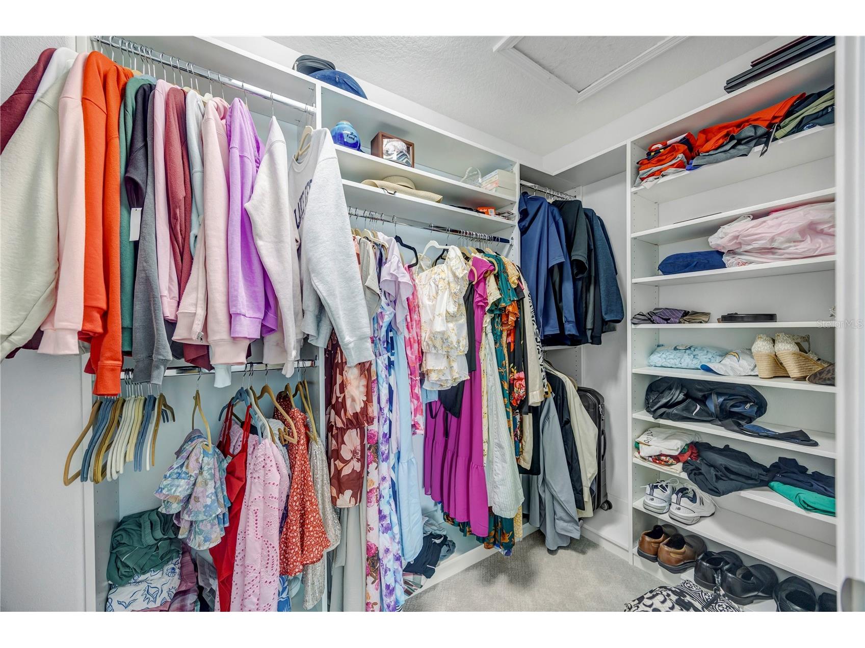 13223 Satin Lily Drive Riverview FL 33579 TB8483743 image54