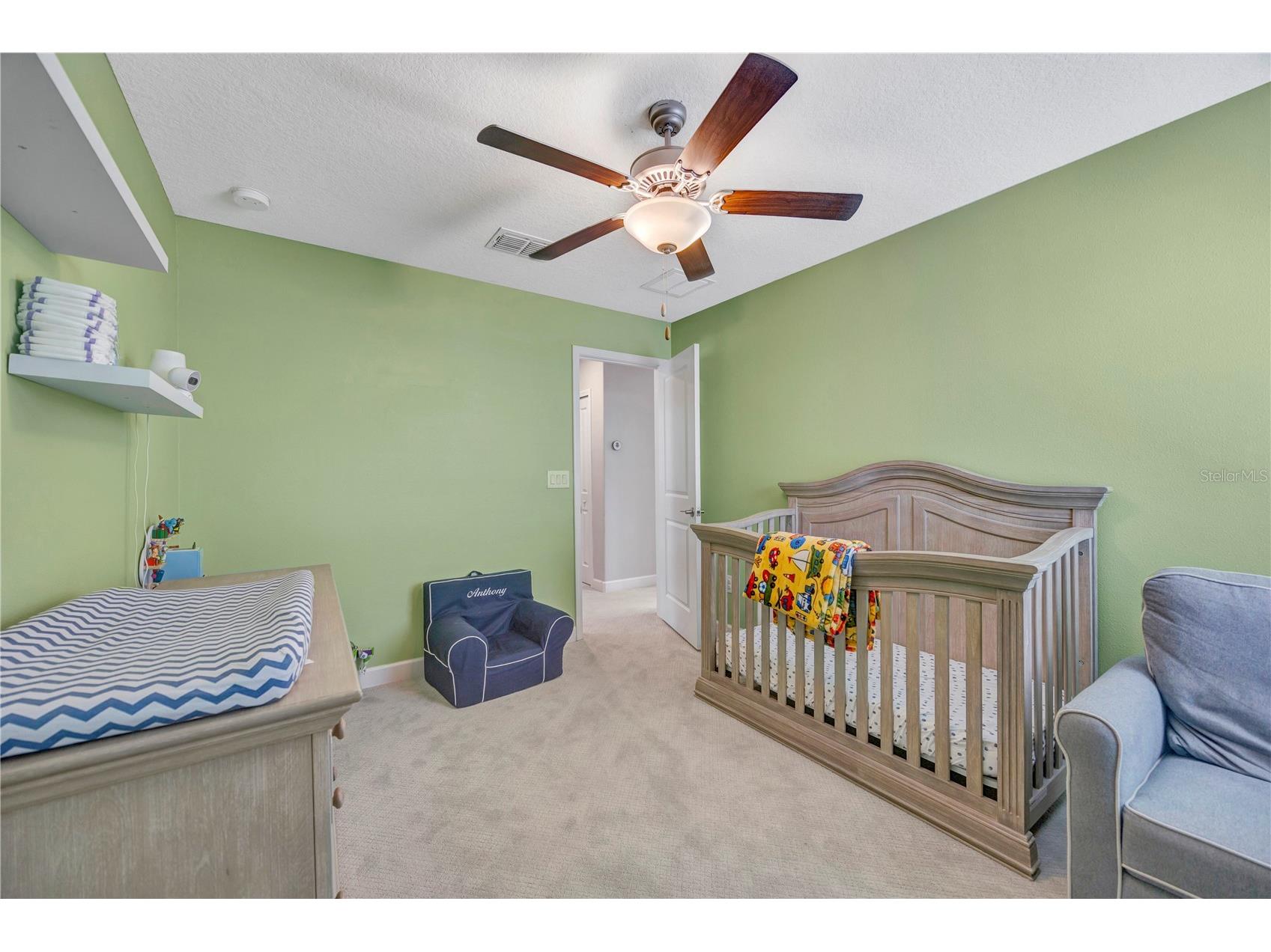 13223 Satin Lily Drive Riverview FL 33579 TB8483743 image56