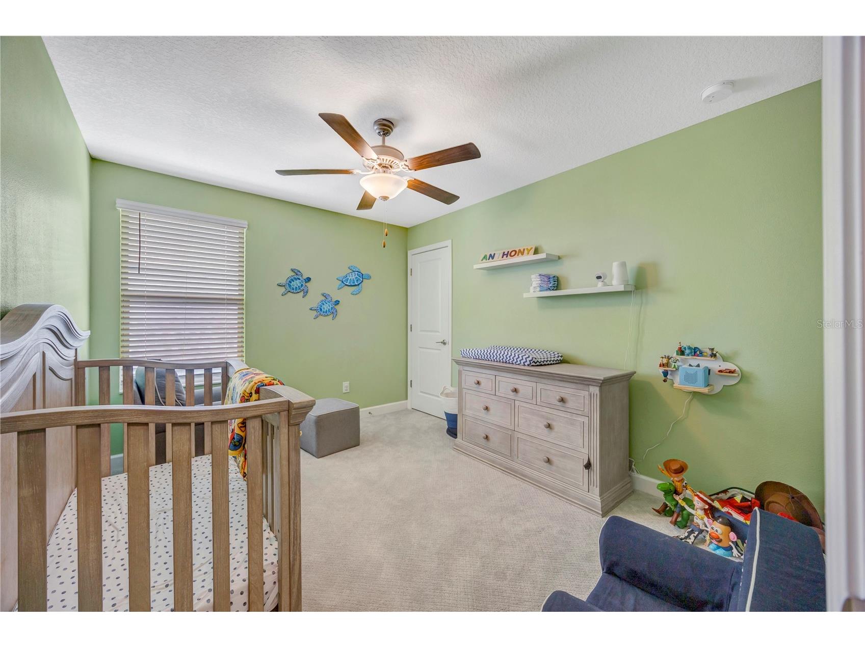 13223 Satin Lily Drive Riverview FL 33579 TB8483743 image57