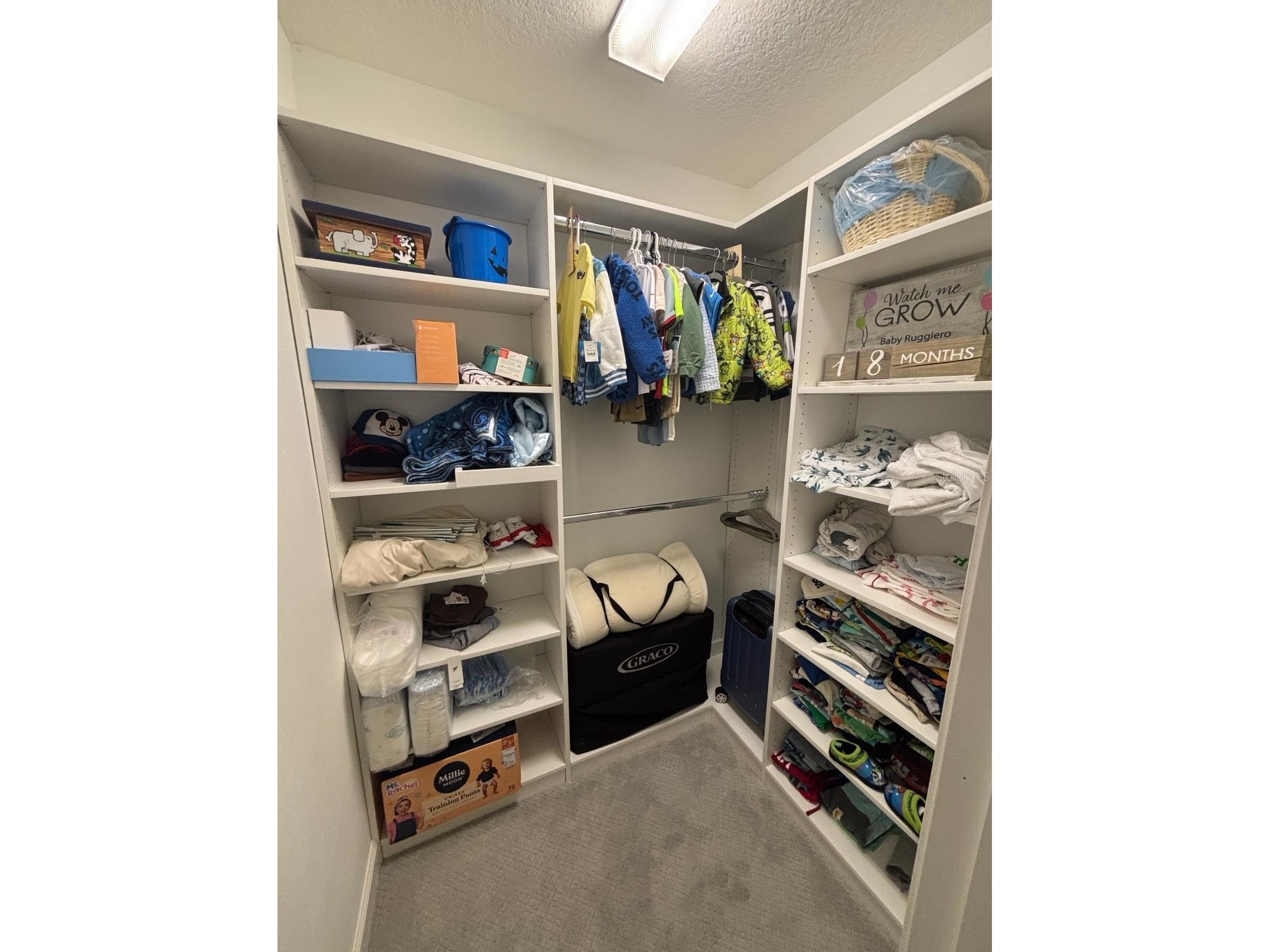 13223 Satin Lily Drive Riverview FL 33579 TB8483743 image58