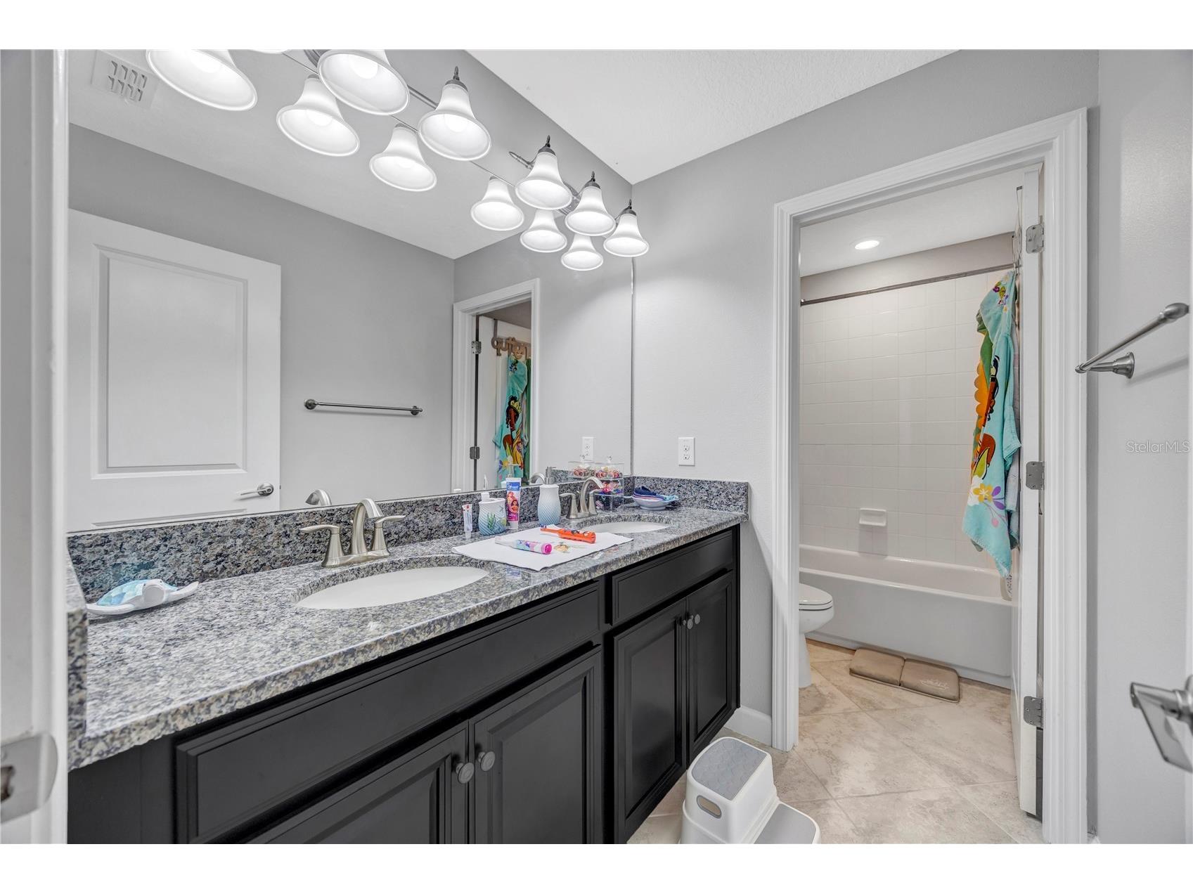 13223 Satin Lily Drive Riverview FL 33579 TB8483743 image60