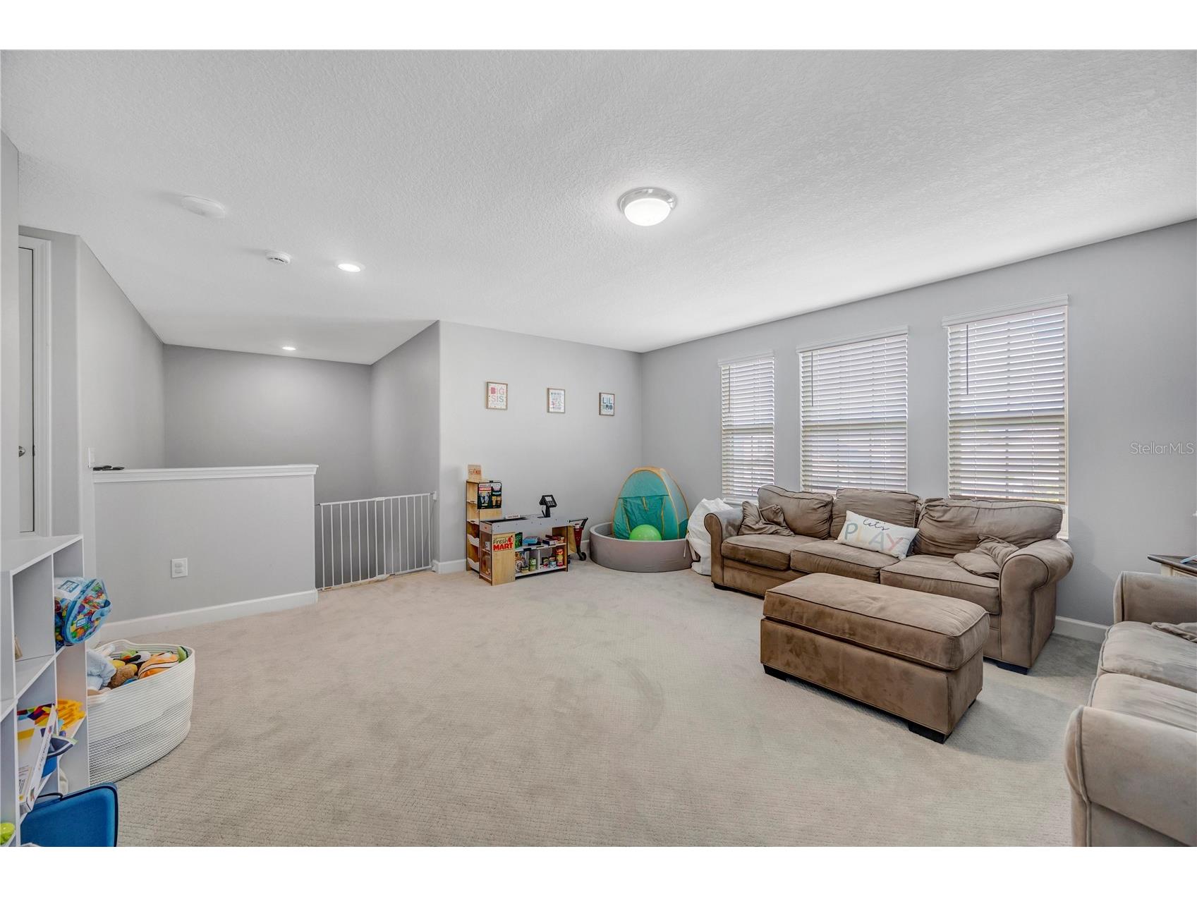 13223 Satin Lily Drive Riverview FL 33579 TB8483743 image62