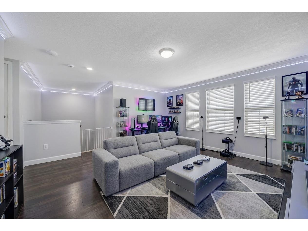 13223 Satin Lily Drive Riverview FL 33579 TB8483743 image65