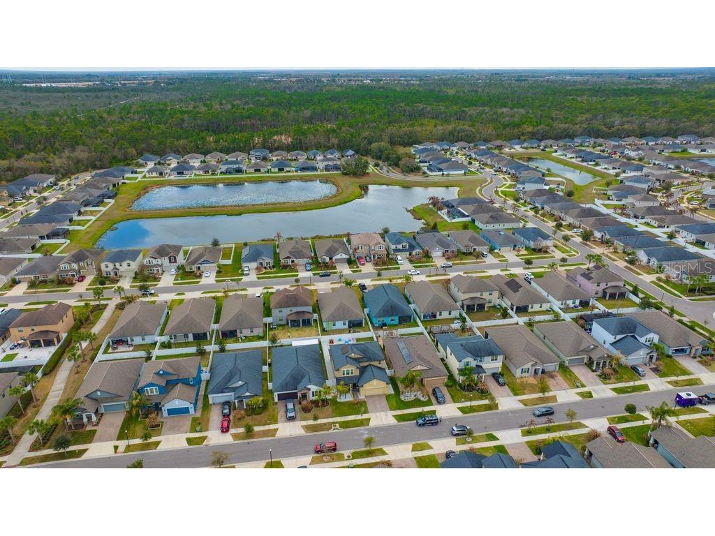 13223 Satin Lily Drive Riverview FL 33579 TB8483743 image76