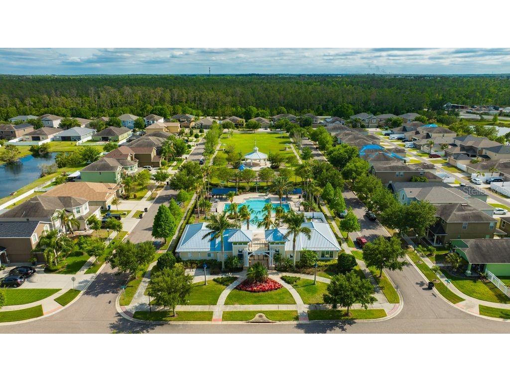 13223 Satin Lily Drive Riverview FL 33579 TB8483743 image77