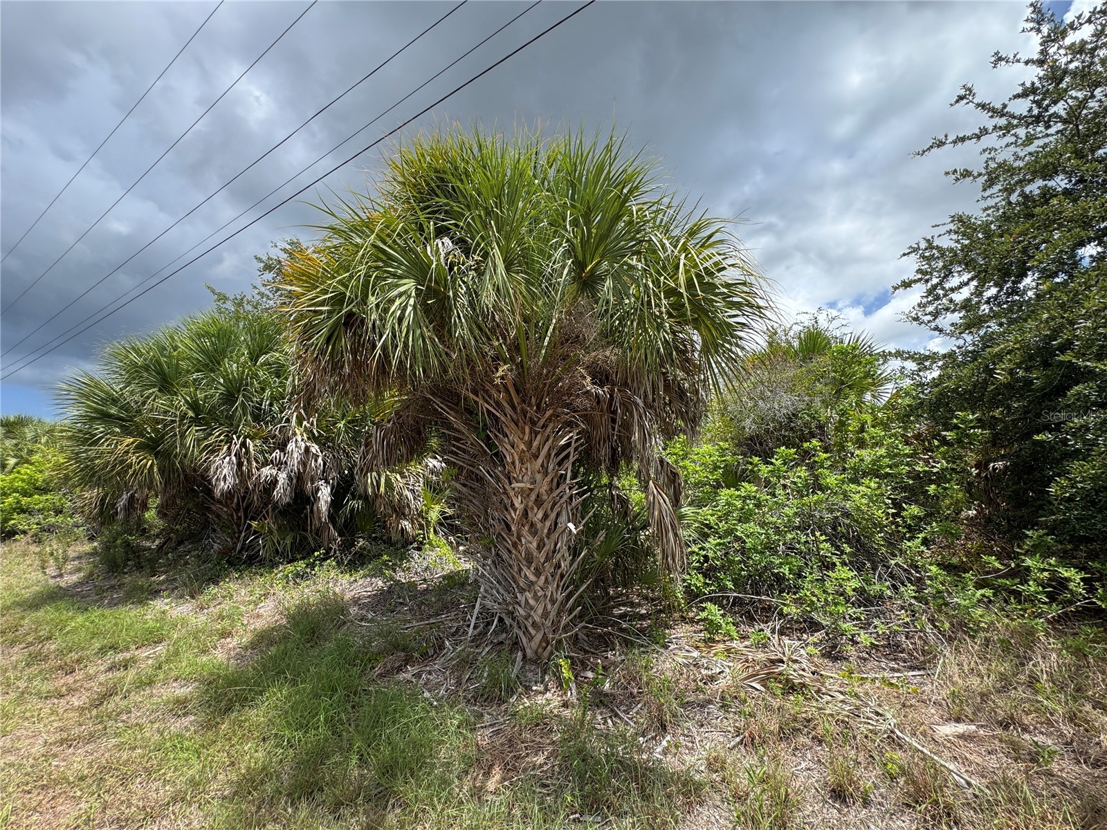 13224 Kitchener Avenue Port Charlotte FL 33981 - SANTA CRUZ WATERWAY TB8532106 image3