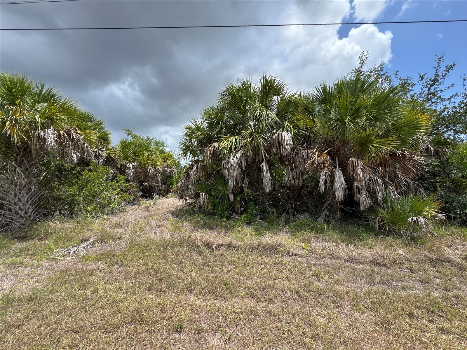 13224 Kitchener Avenue Port Charlotte FL 33981 - SANTA CRUZ WATERWAY TB8532106 image4