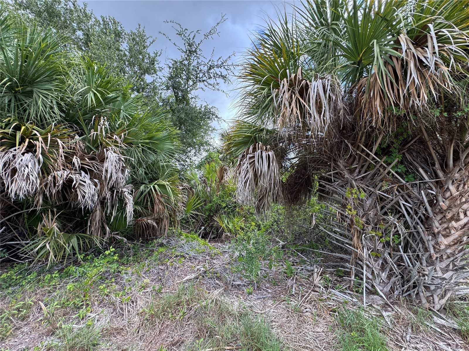 13224 Kitchener Avenue Port Charlotte FL 33981 - SANTA CRUZ WATERWAY TB8532106 image5