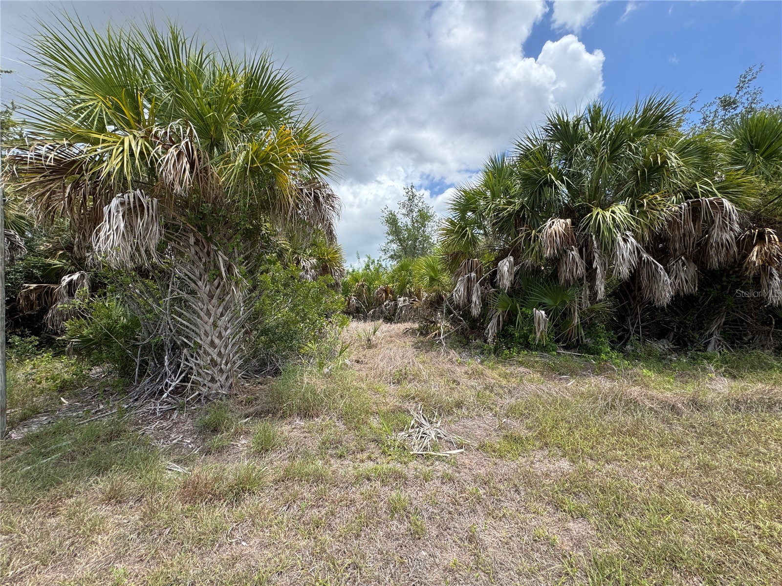 13224 Kitchener Avenue Port Charlotte FL 33981 - SANTA CRUZ WATERWAY TB8532106 image6