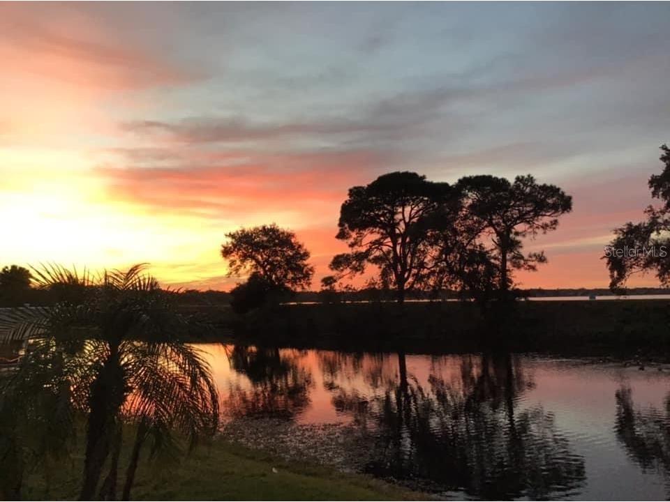 13225 101st Street #235 Largo FL 33773 U8203782 image1