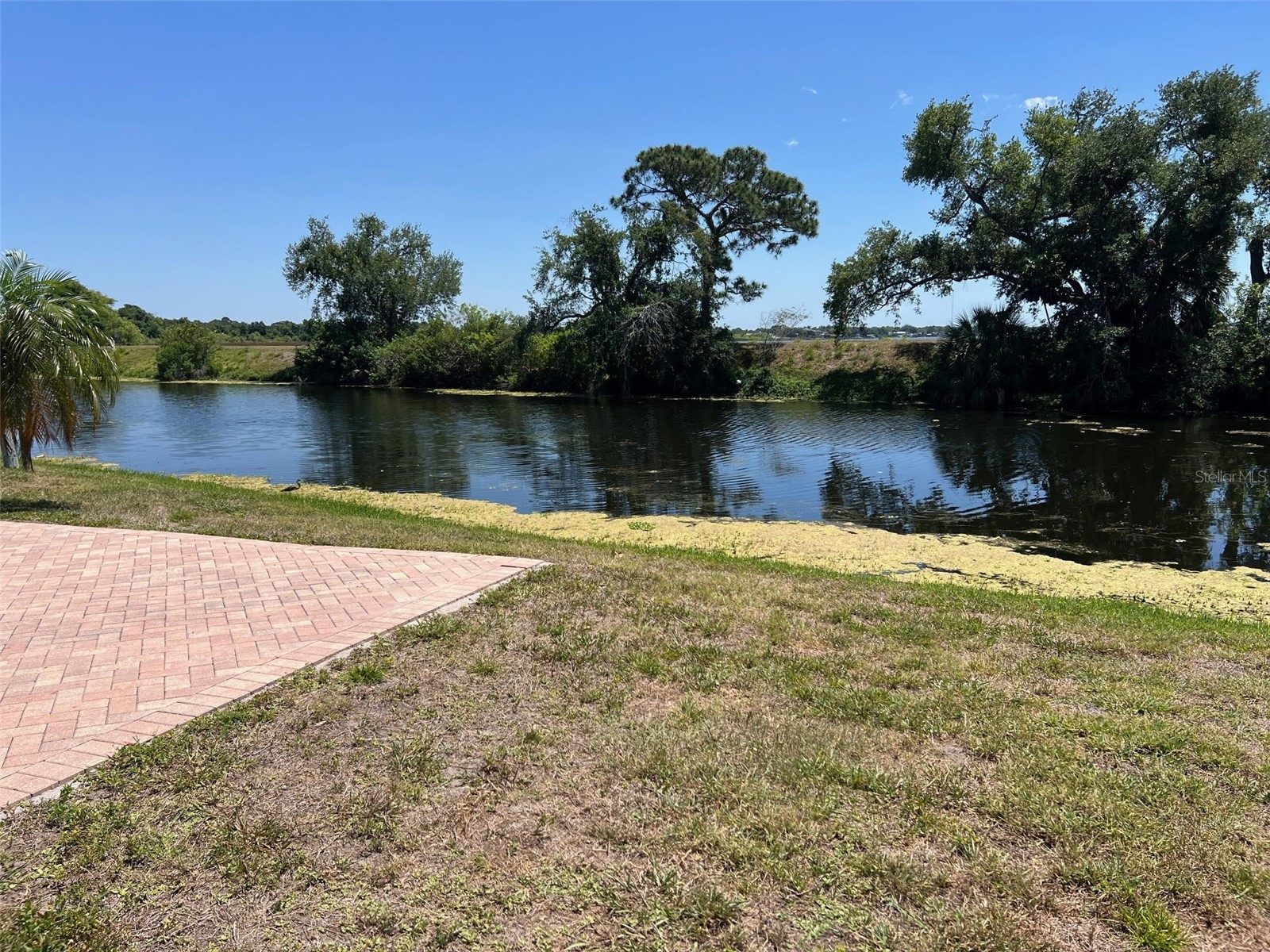 13225 101st Street #356 Largo FL 33773 TB8499165 image8