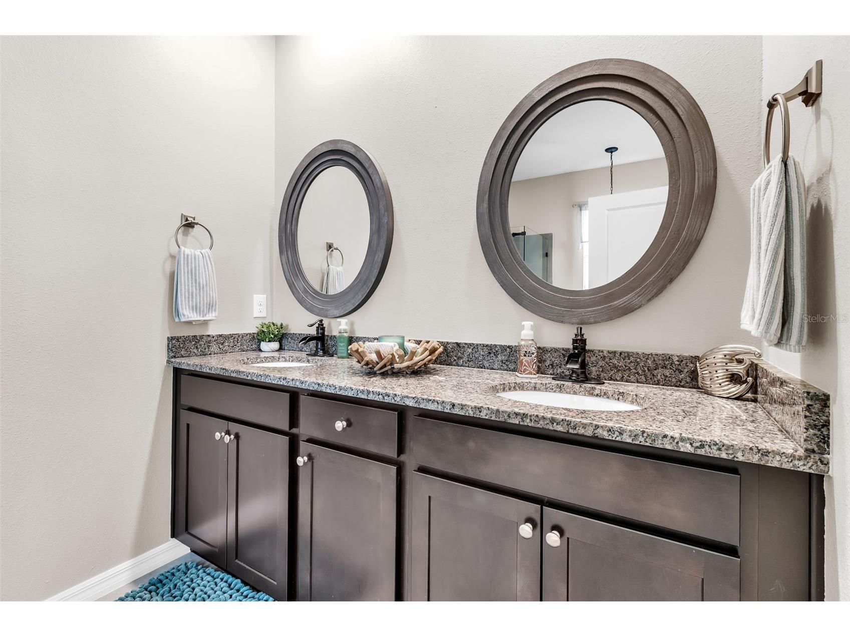 13225 Waterleaf Garden Circle Riverview FL 33579 A4690628 image27