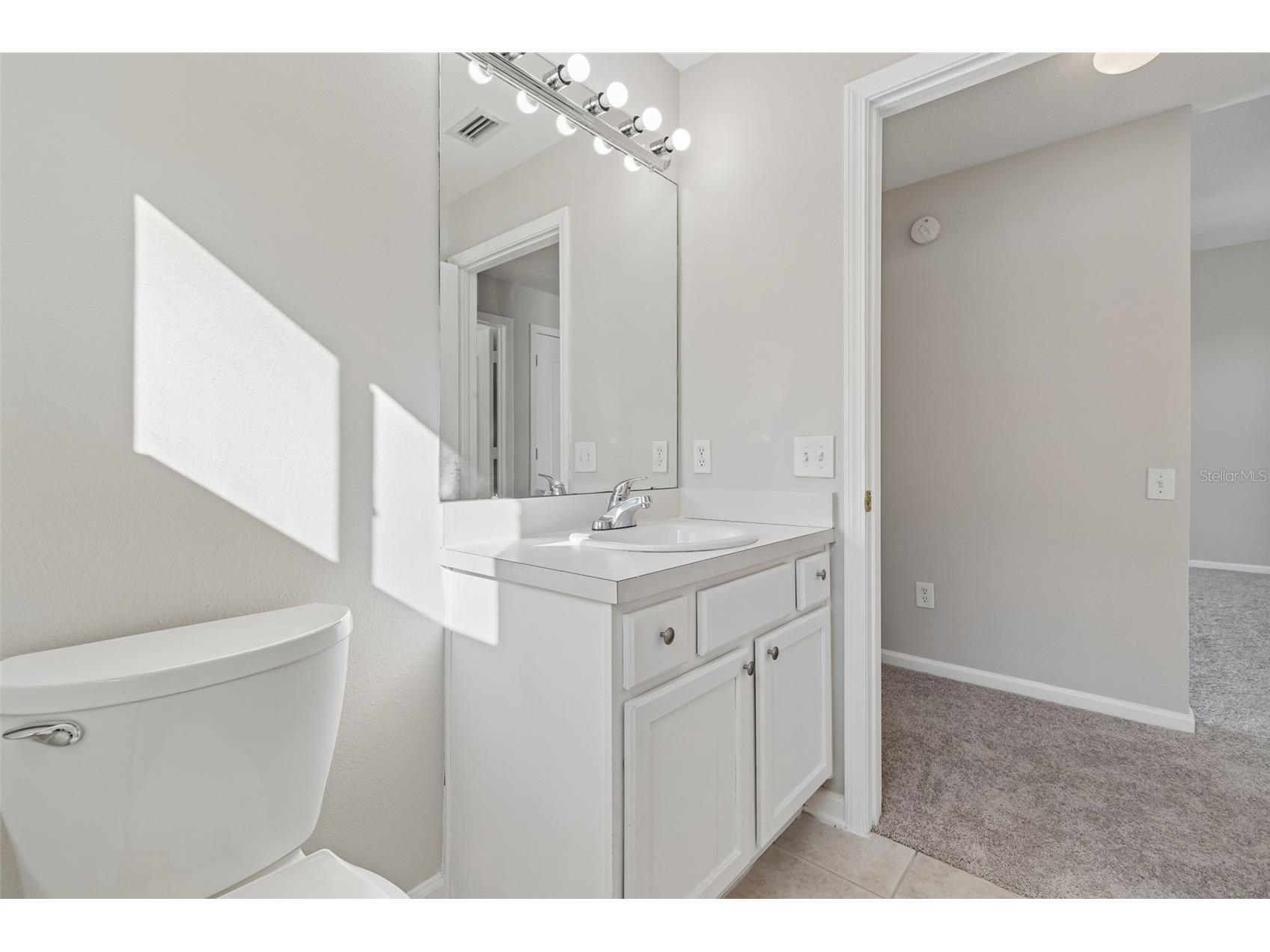 13226 Evening Sunset Lane Riverview FL 33579 TB8498805 image19