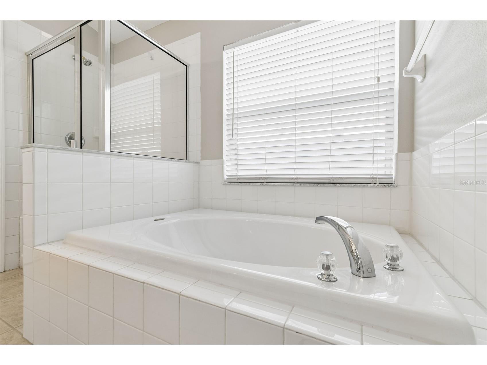 13226 Evening Sunset Lane Riverview FL 33579 TB8498805 image28