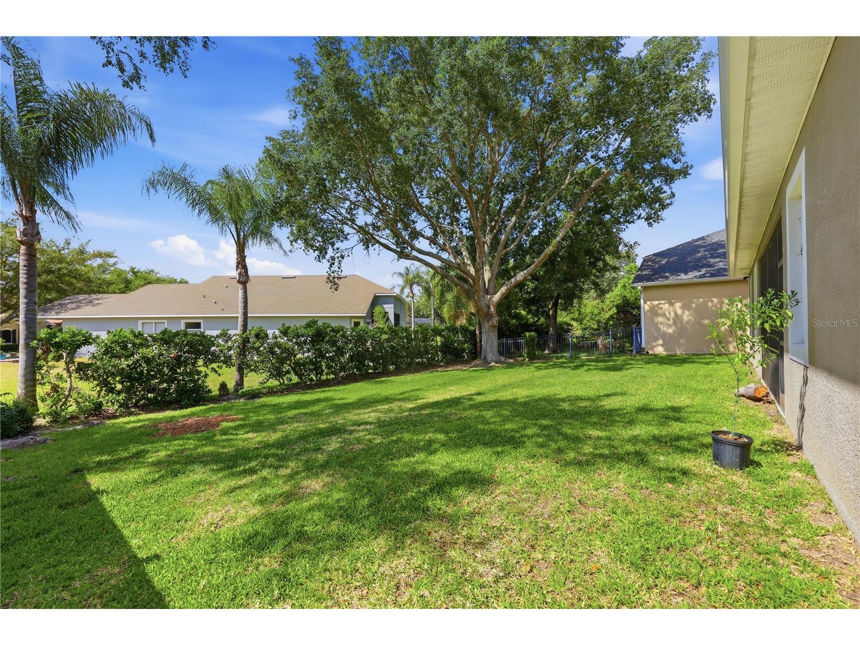 13226 Zori Lane Windermere FL 34786 O6403132 image36