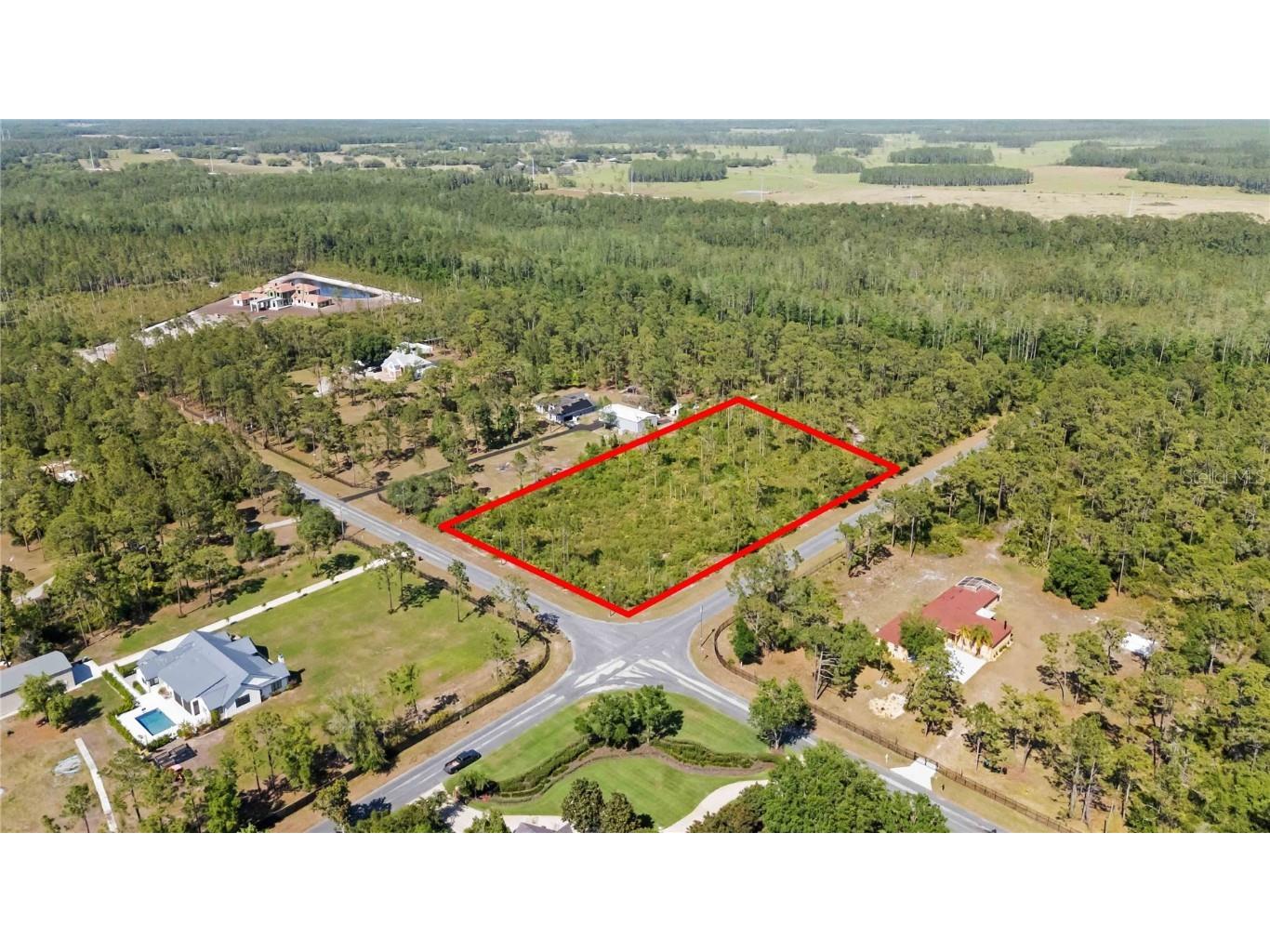 13227 Lacebark Pine Road Orlando FL 32832 O6301288 image1