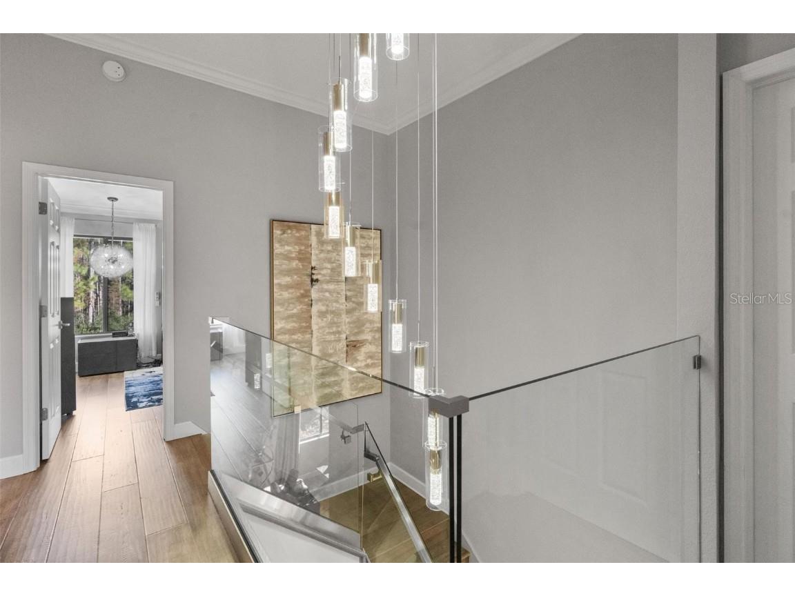 13228 Royal George Avenue Odessa FL 33556 TB8441386 image15