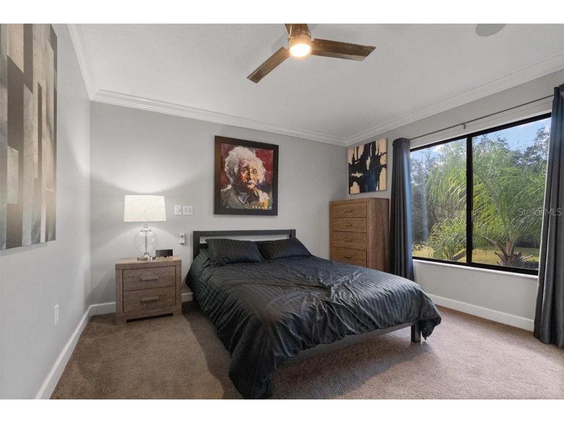 13228 Royal George Avenue Odessa FL 33556 TB8441386 image18