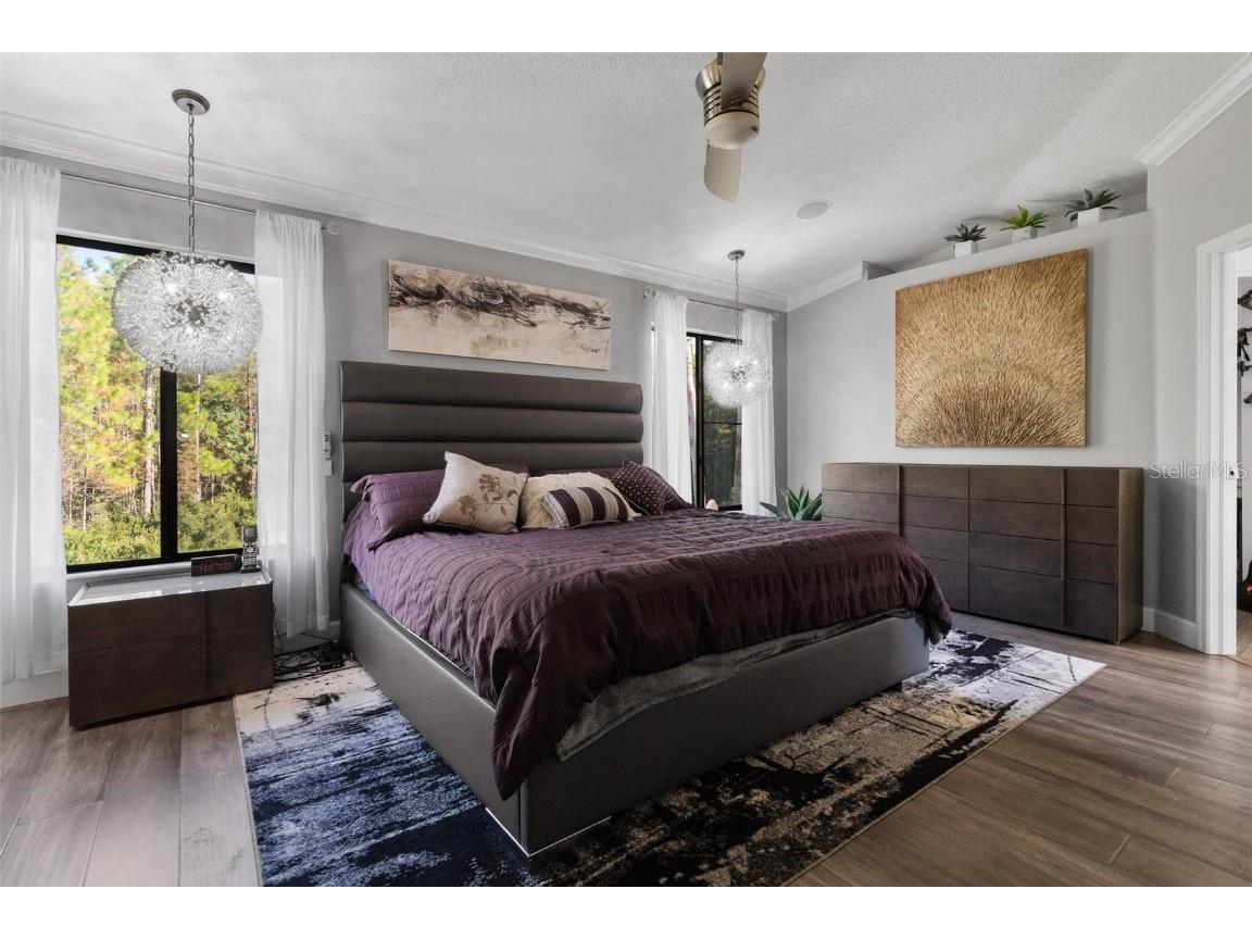 13228 Royal George Avenue Odessa FL 33556 TB8441386 image24