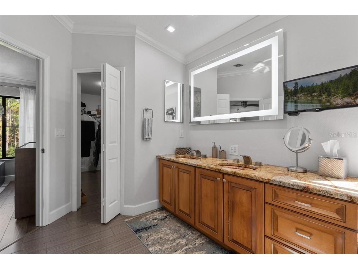 13228 Royal George Avenue Odessa FL 33556 TB8441386 image31