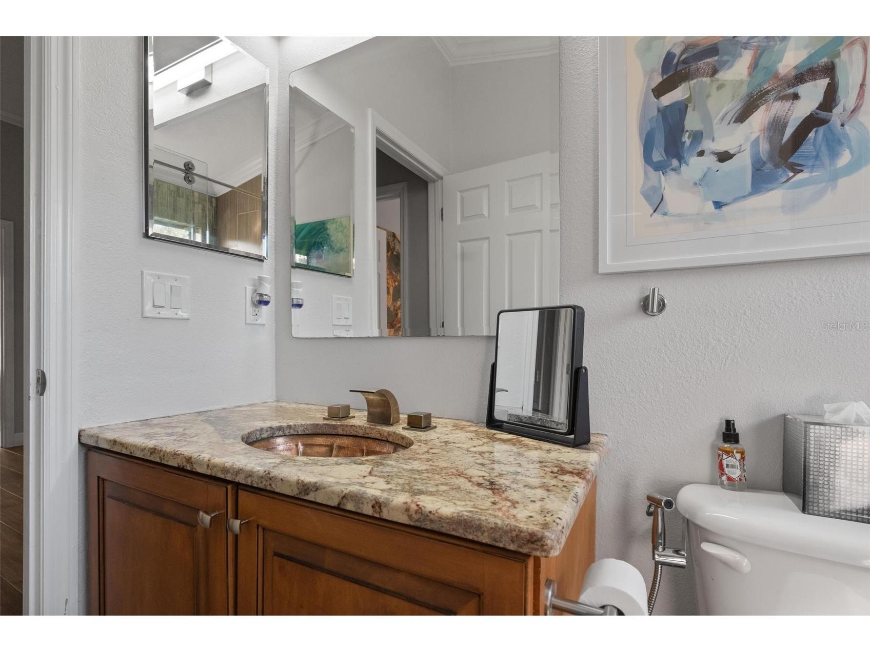13228 Royal George Avenue Odessa FL 33556 TB8525104 image23