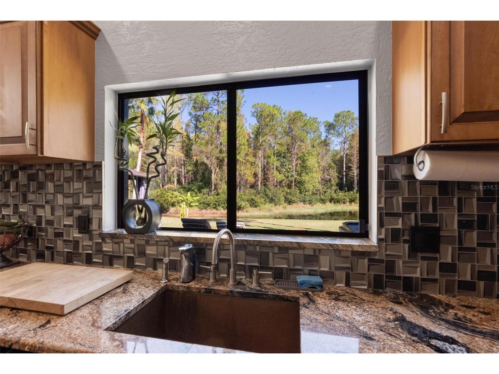 13228 Royal George Avenue Odessa FL 33556 TB8525104 image39
