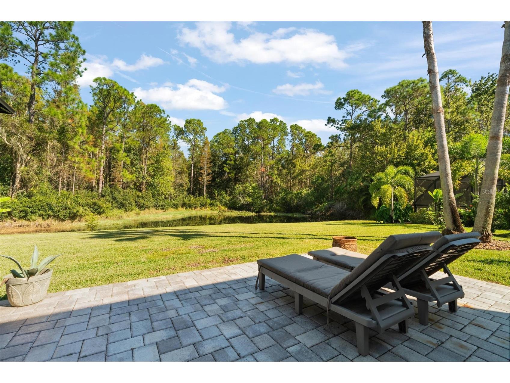 13228 Royal George Avenue Odessa FL 33556 TB8525104 image42