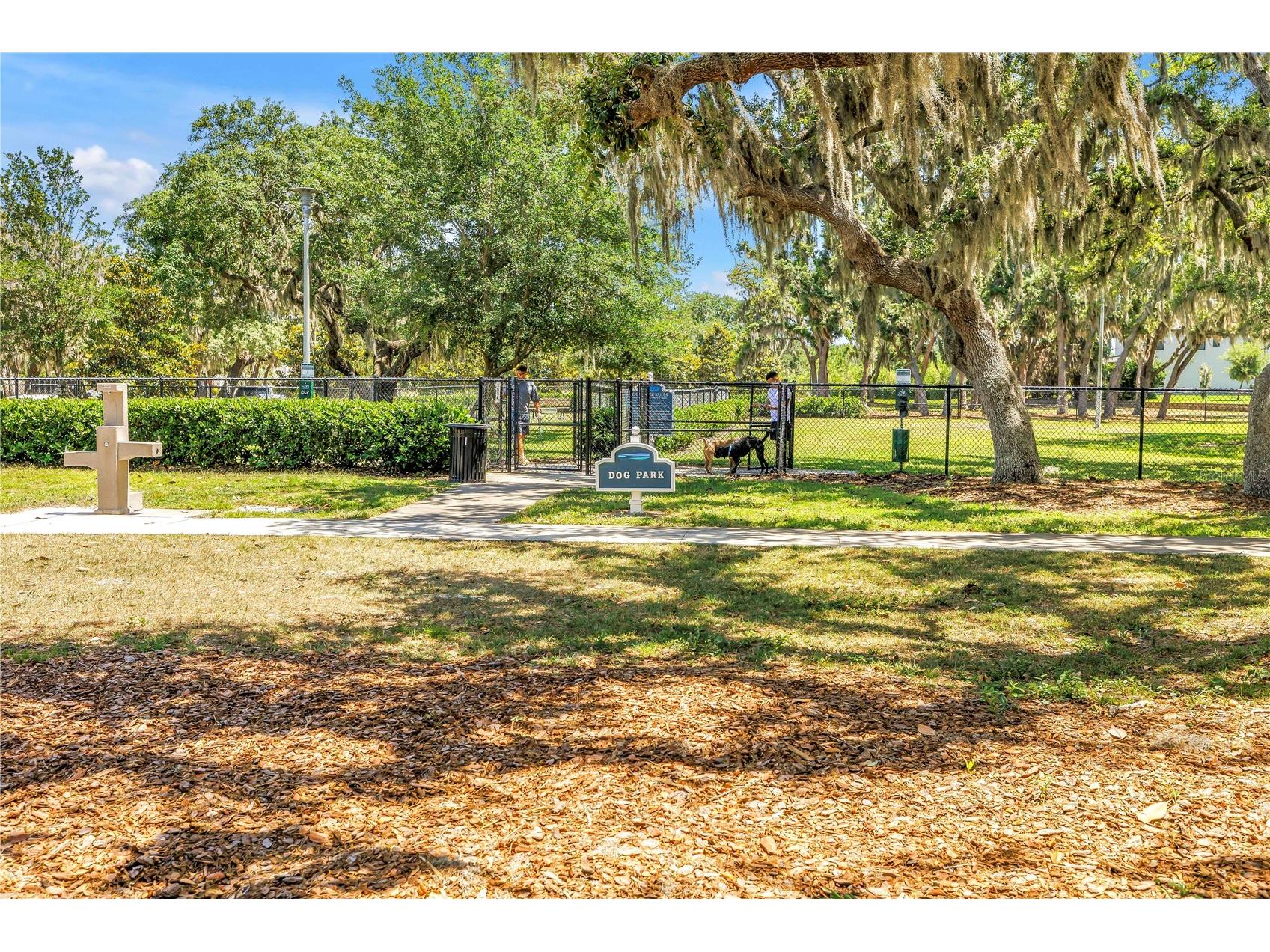 13229 Orca Sound Drive Riverview FL 33579 TB8502985 image32