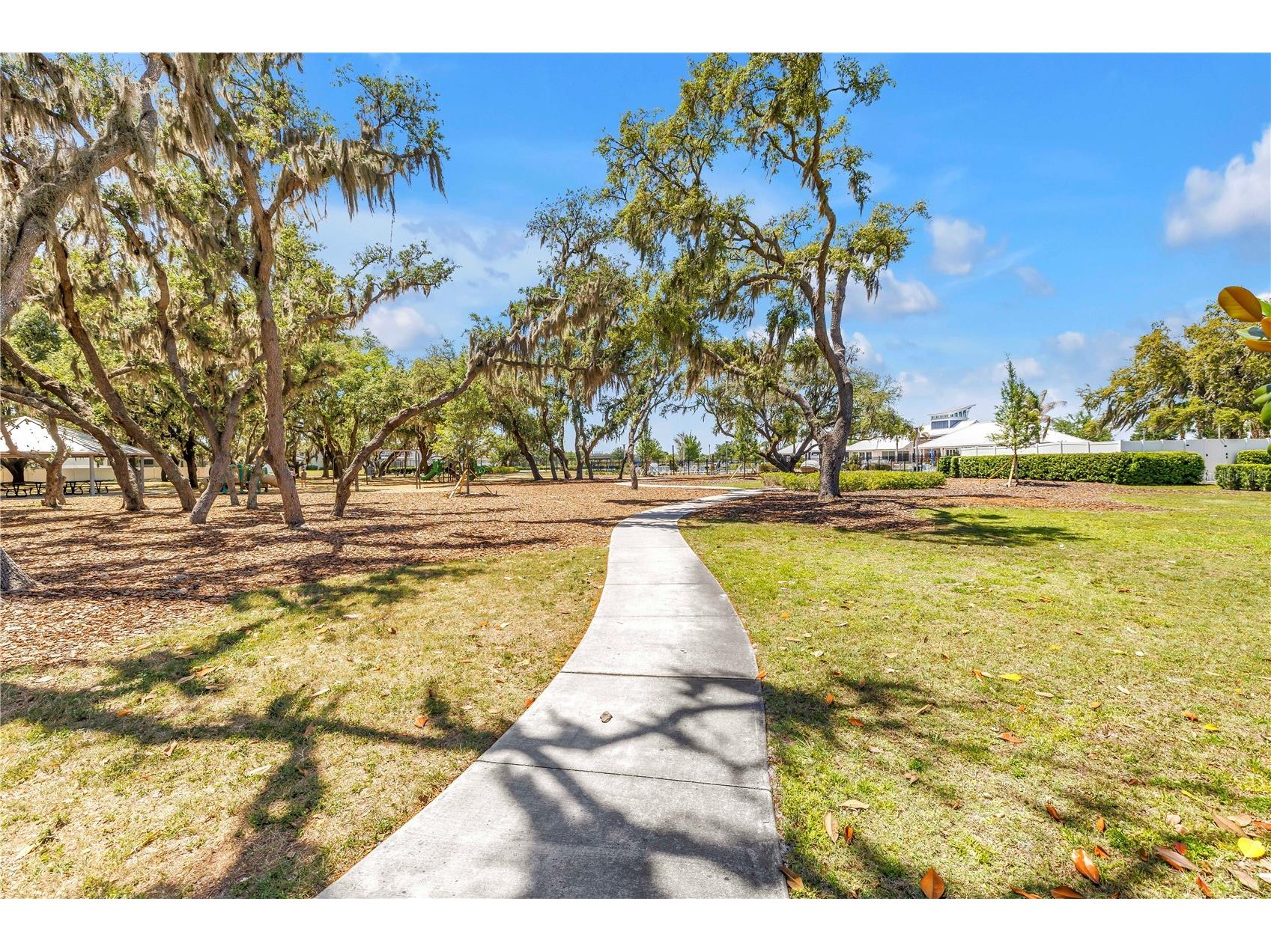 13229 Orca Sound Drive Riverview FL 33579 TB8502985 image33