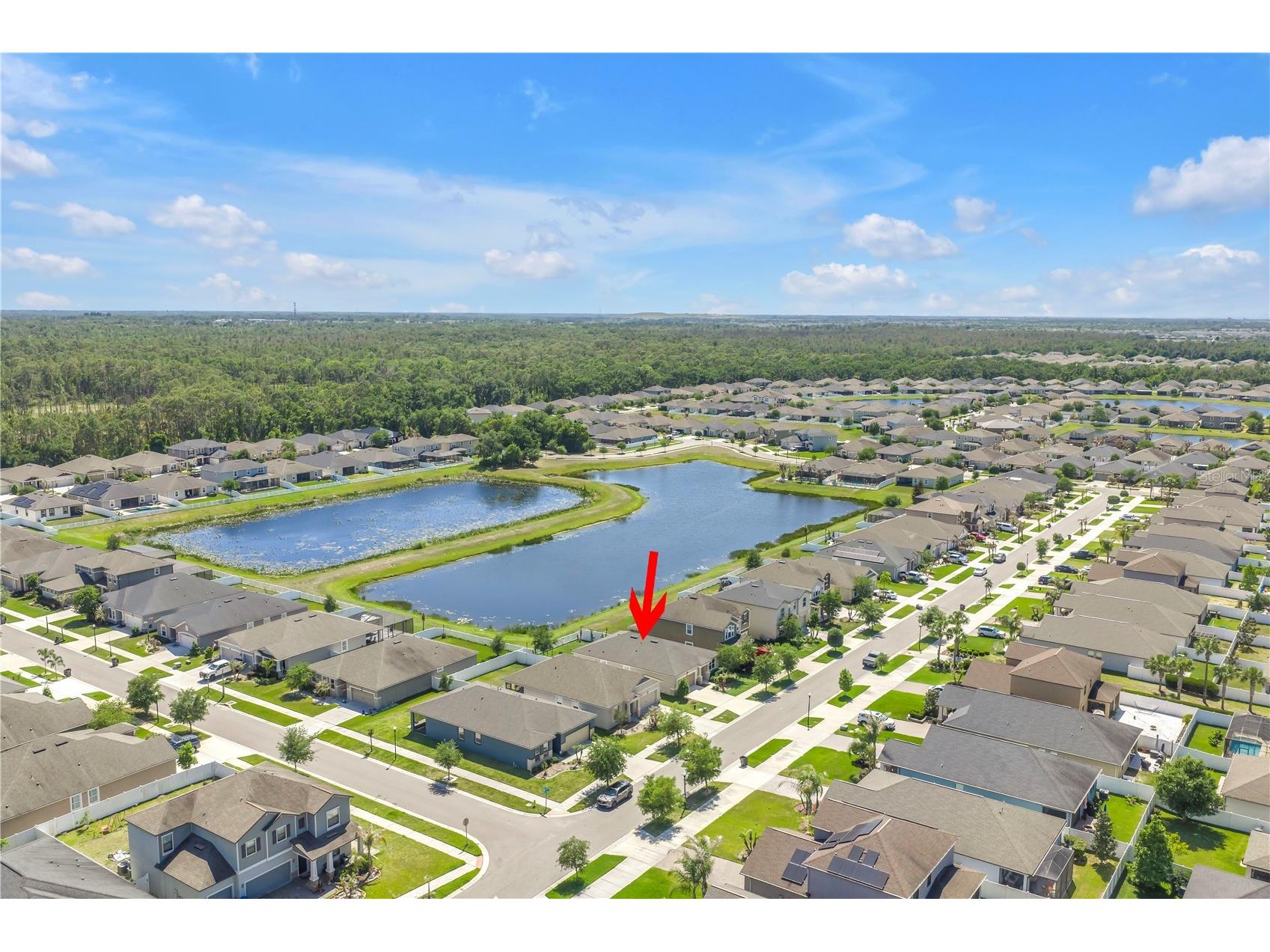 13229 Orca Sound Drive Riverview FL 33579 TB8502985 image34