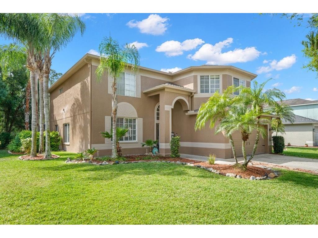 13229 Royal George Avenue Odessa FL 33556 T3432685 image1