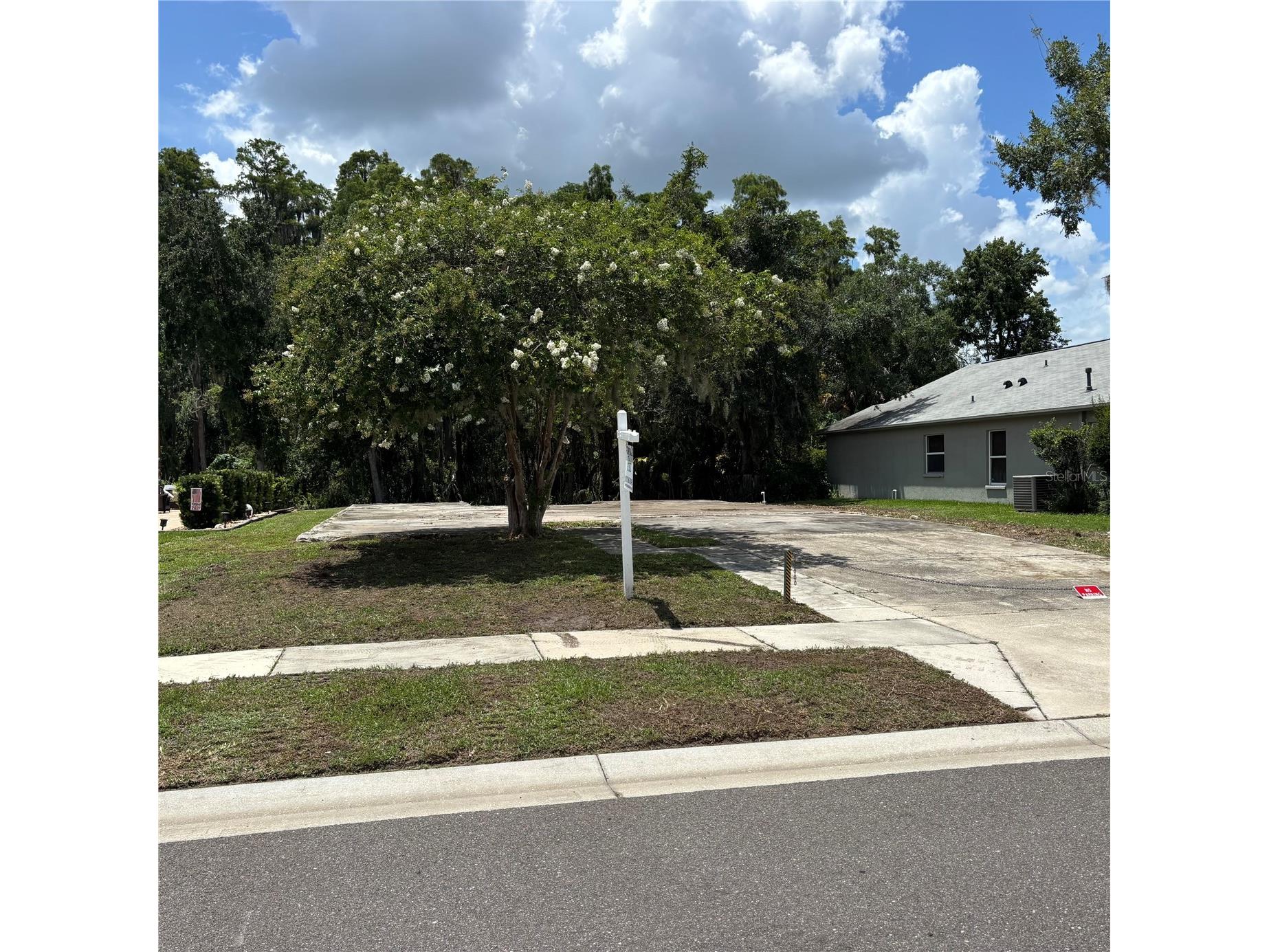 1323 Baythorn Drive Wesley Chapel FL 33543 TB8324900 image1