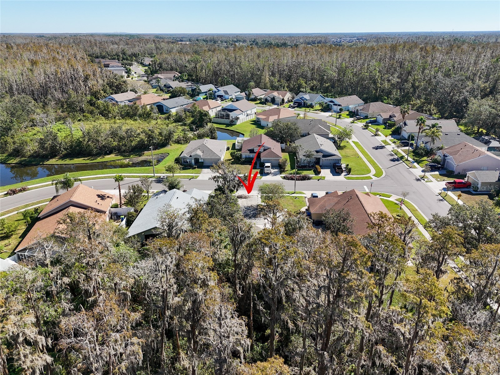 1323 Baythorn Drive Wesley Chapel FL 33543 TB8324900 image11