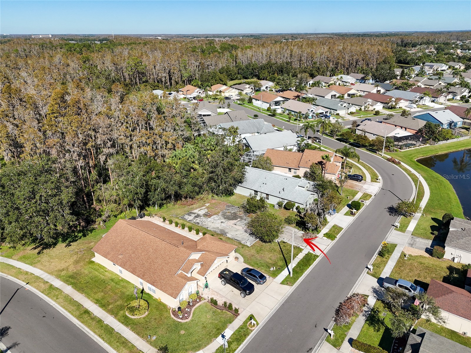 1323 Baythorn Drive Wesley Chapel FL 33543 TB8324900 image12